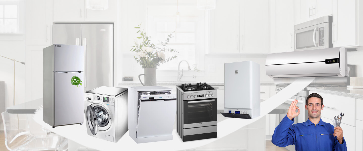 Seyitgazi Electrolux Servisi